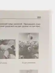 Большой сборник тренировочных вариантов проверочных работ для подготовки к ВПР. 7 класс