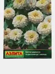 Цинния "Тополино" белая (семена, цветы)