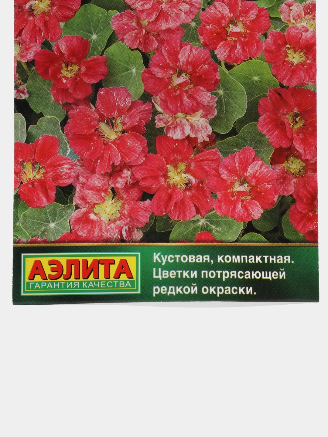 Настурция "Джевел черри роуз" махровая, семена, цветы