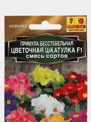 Примула "Цветочная шкатулка F1", смесь сортов (семена, цветы)