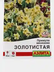 Примула весенняя "Золотистая" (семена, цветы)