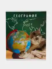 Зеленый предметные тетради, 48 листов, забавные звери, со справочными материалами, обложка картон