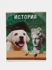Светло-жёлтый предметные тетради, 48 листов, забавные звери, со справочными материалами, обложка картон