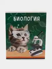 Черный предметные тетради, 48 листов, забавные звери, со справочными материалами, обложка картон