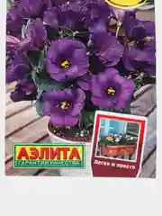 Эустома Балконная F1 фиолетовая (семена,цветы)
