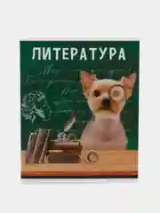 Бежевый предметные тетради, 48 листов, забавные звери, со справочными материалами, обложка картон