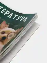 Бежевый предметные тетради, 48 листов, забавные звери, со справочными материалами, обложка картон