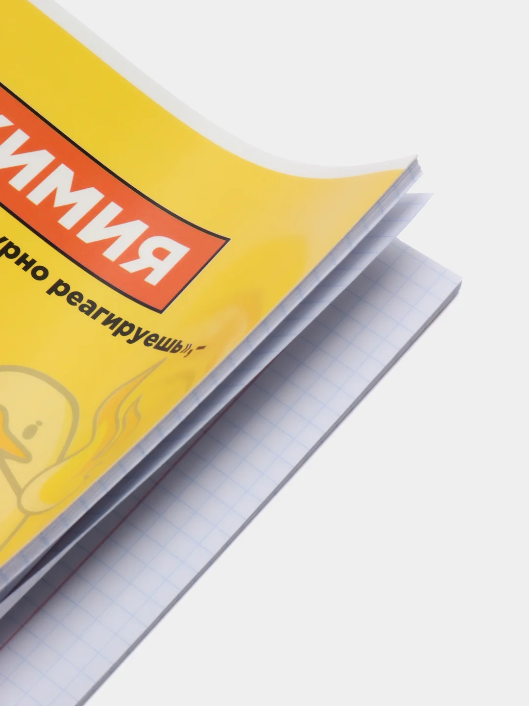 Желтый предметные тетради, 48 листов, забавные звери, со справочными материалами, обложка картон