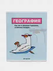 Ледяной предметные тетради, 48 листов, забавные звери, со справочными материалами, обложка картон