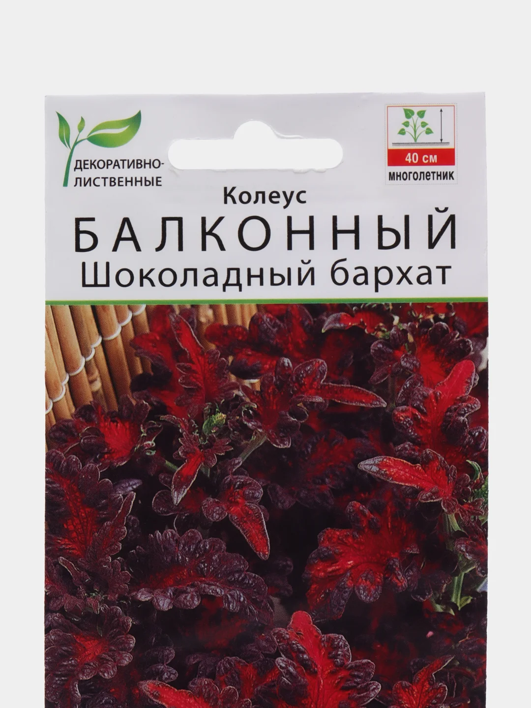 Колеус балконный Шоколадный бархат (семена,цветы)