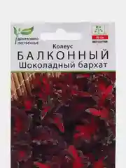 Колеус балконный Шоколадный бархат (семена,цветы)