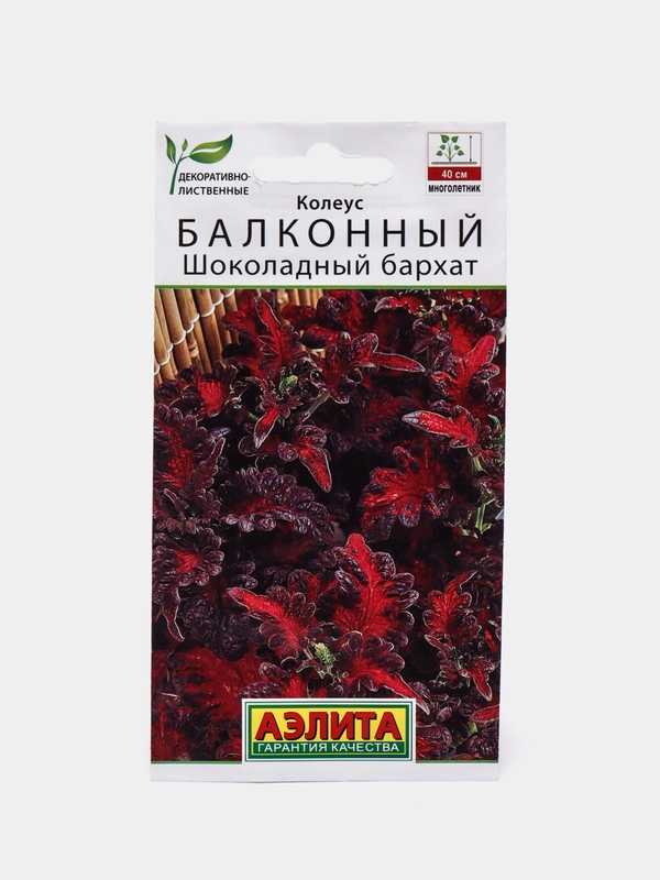 Колеус балконный Шоколадный бархат (семена,цветы)