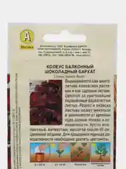 Колеус балконный Шоколадный бархат (семена,цветы)