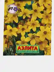 Биденс Золотая ромашка (семена,цветы)