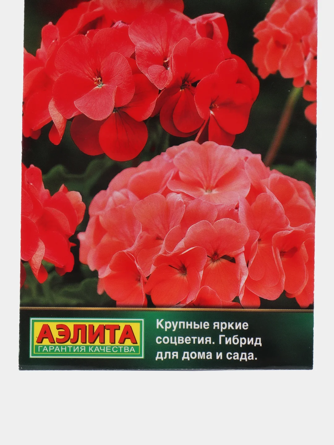 Пеларгония "Элитная F1" кораллово-красная, смесь сортов (семена, цветы)