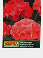 Пеларгония "Элитная F1" кораллово-красная, смесь сортов (семена, цветы)