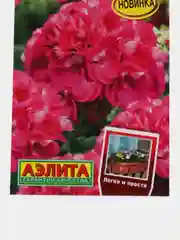 Герань Балконная фламинго F2 (семена,цветы)