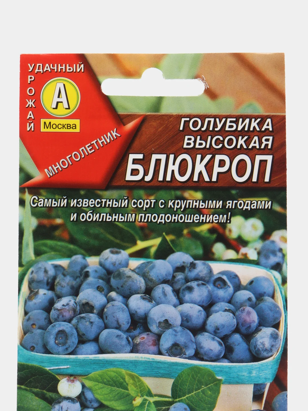 Голубика высокая Блюкроп (семена,цветы)