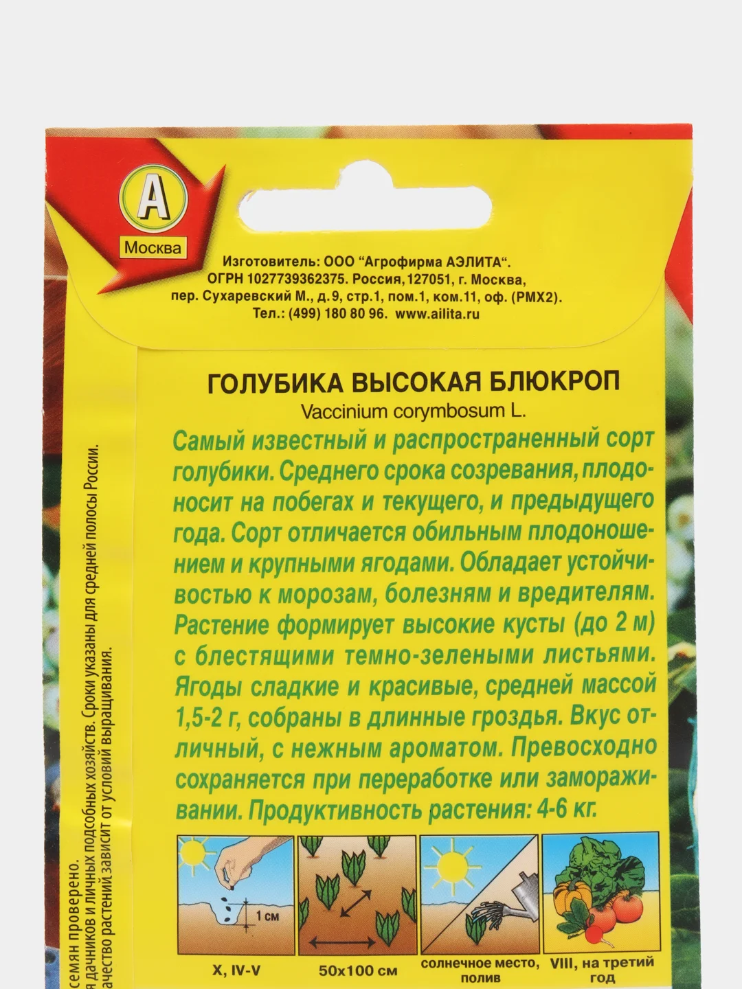 Голубика высокая Блюкроп (семена,цветы)