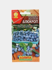 Голубика высокая Блюкроп (семена,цветы)