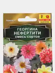 Георгина Нефертити, смесь сортов, семена, цветы