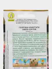 Георгина Нефертити, смесь сортов, семена, цветы
