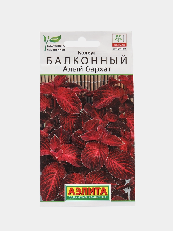 Колеус балконный Алый бархат, семена, цветы