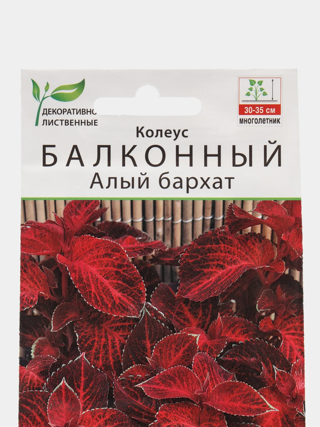 Колеус балконный Алый бархат, семена, цветы