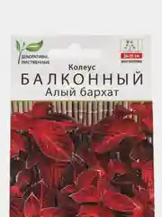 Колеус балконный Алый бархат, семена, цветы