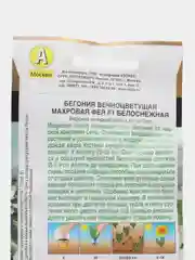 Бегония вечноцветущая махровая Фея F1 белоснежная, семена, цветы