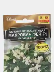 Бегония вечноцветущая махровая Фея F1 белоснежная, семена, цветы