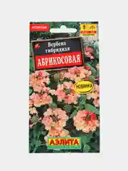 Вербена Абрикосовая (семена,цветы)