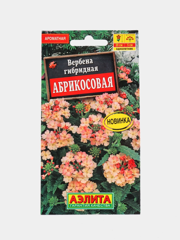 Вербена Абрикосовая (семена,цветы)