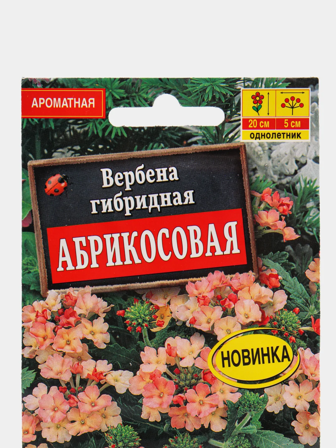 Вербена Абрикосовая (семена,цветы)