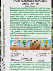 Хоста "Декоратор", смесь сортов (семена, цветы)