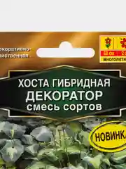 Хоста "Декоратор", смесь сортов (семена, цветы)