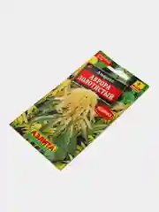 Амарант Аврора золотистый, семена, цветы