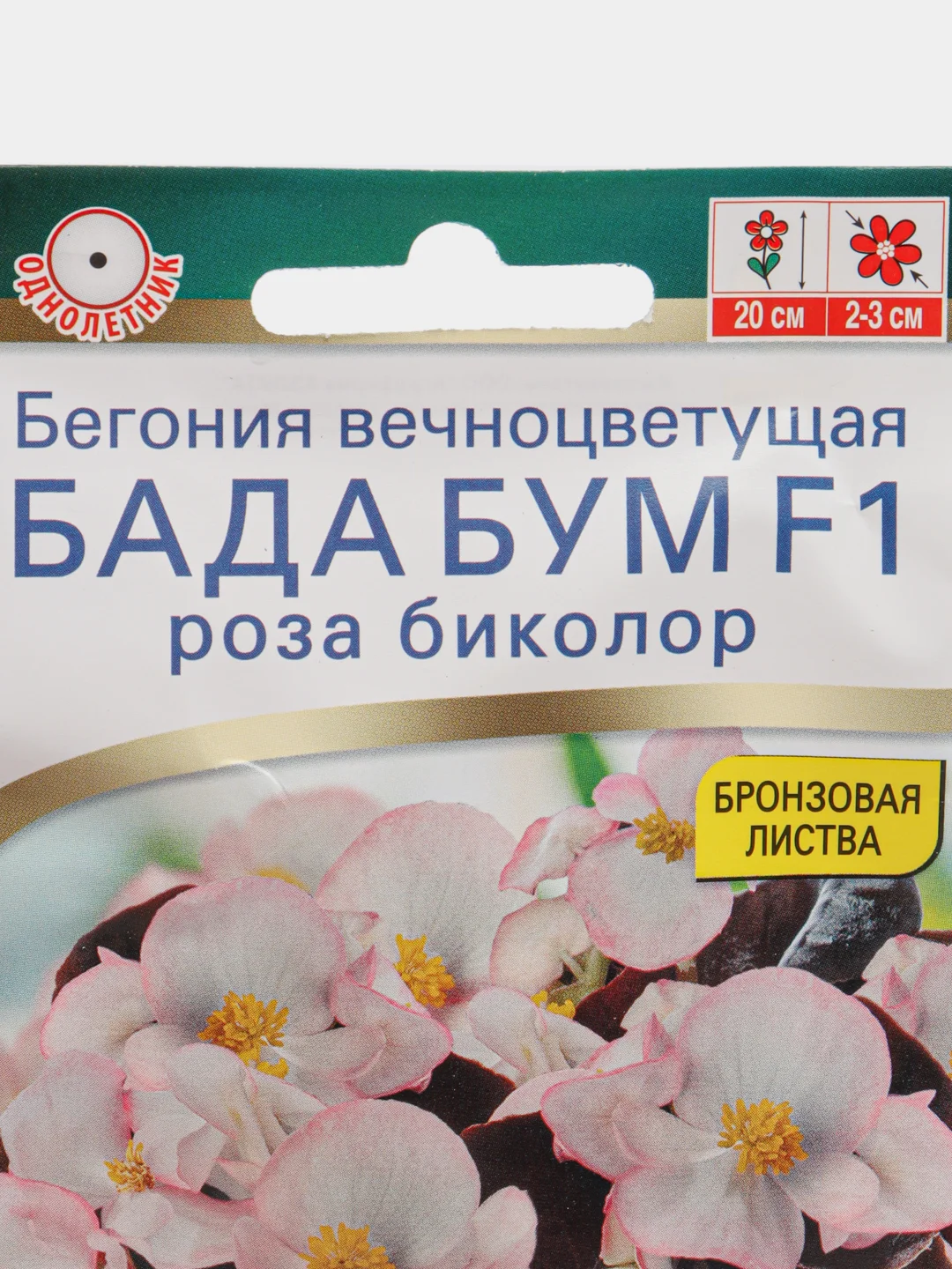 Бегония Бада бум F1 роза биколор, семена, цветы