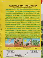 Змееголовник Граф Дракула, семена