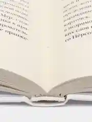 Сквозняк из прошлого, Набоков В.В.