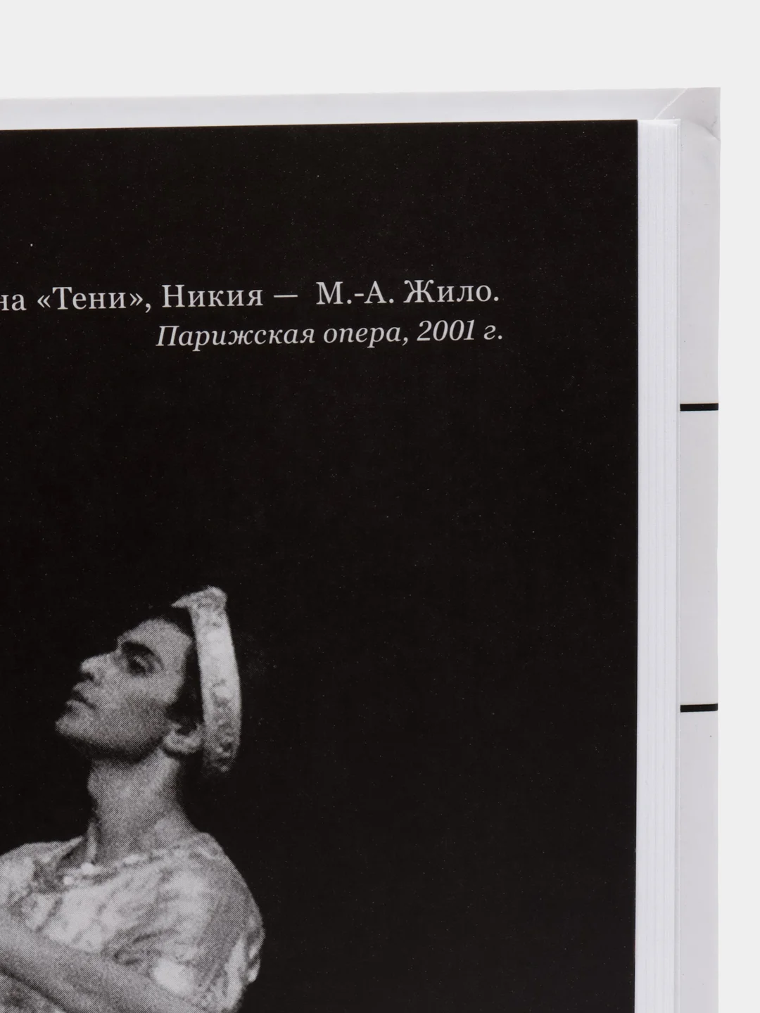 Мой театр, Николай Цискаридзе
