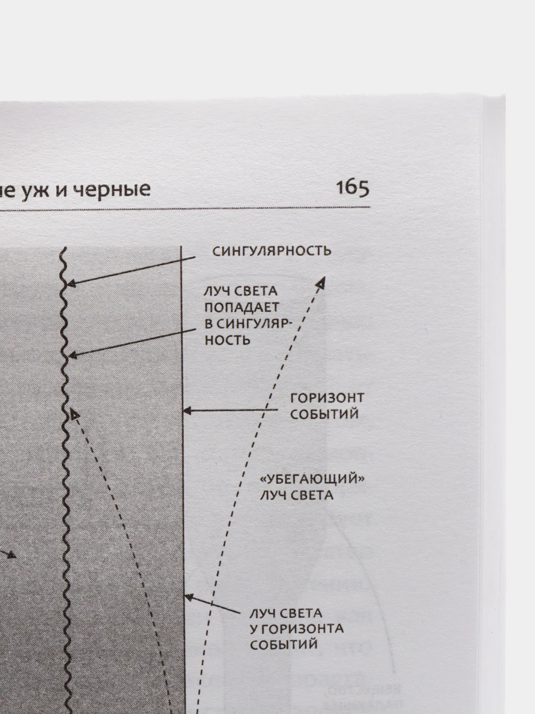 Краткая история времени, Хокинг С.