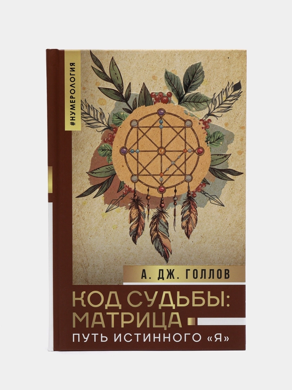 Код Судьбы: матрица. Путь истинного "Я", Голлов А.