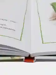 Лесные истории