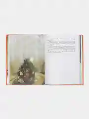 Питер Пэн, Барри Джеймс Мэтью