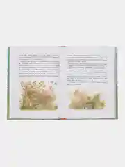 Живое пламя. Автор Носов Е. И