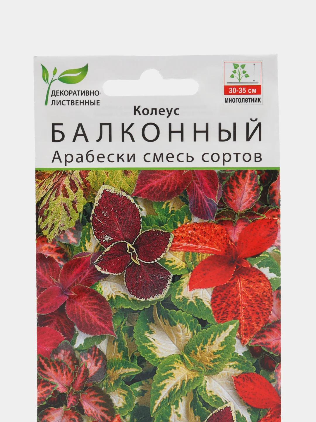 Колеус балконный Арабески, смесь сортов (семена,цветы)
