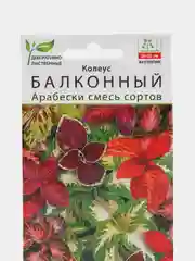 Колеус балконный Арабески, смесь сортов (семена,цветы)