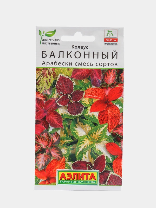 Колеус балконный Арабески, смесь сортов (семена,цветы)