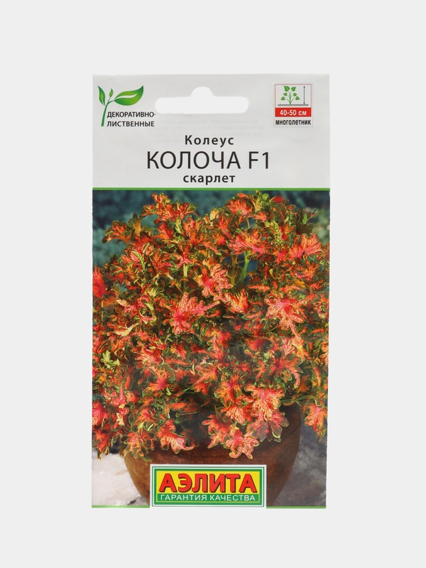 Колеус "Колоча F1" скарлет, семена, цветы